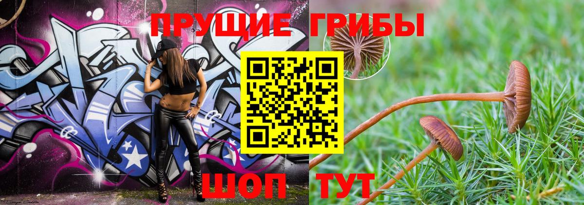 Волжский  Галлюциногенные грибы ЛСД  Вход с VPN 